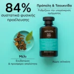 APIVITA Σαμπουάν Εξισορρόπησης για Λιπαρές Ρίζες και Ξηρές Άκρες  250ml - Image 4