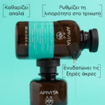 APIVITA Σαμπουάν Εξισορρόπησης για Λιπαρές Ρίζες και Ξηρές Άκρες  250ml - Image 2