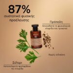 APIVITA Dry Dandruff Shampoo 250ml - Image 2