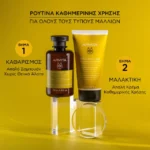 Apivita Σαμπουάν Καθημερινής Χρήσης με Χαμομήλι & Μέλι, 250ml - Image 4
