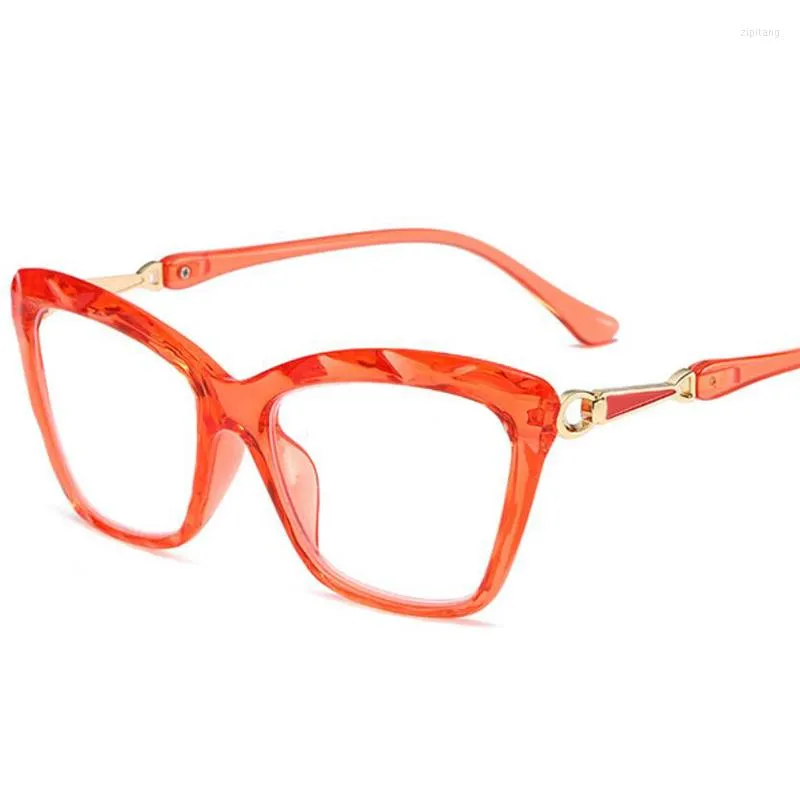 FROG OPTICAL F108 5200423824961